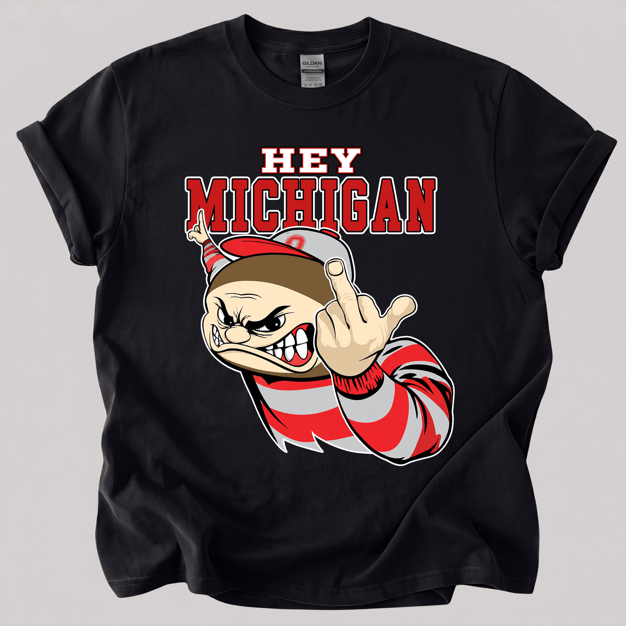 NT - Hey Michigan Fuck You Shirt, Sweatshirt, Hoodie