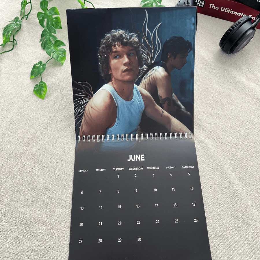 TQ - Heated Rivalry 2027 Wall Calendar, Hudson William, Connor Storrie