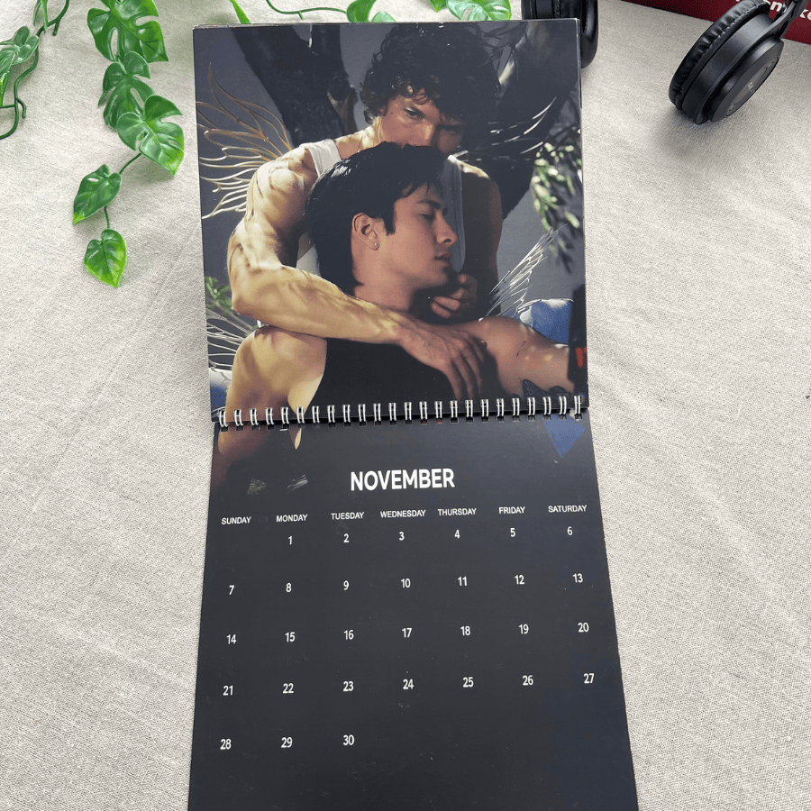TQ - Heated Rivalry 2027 Wall Calendar, Hudson William, Connor Storrie