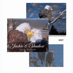 PK - Jackie and Shadow Eagles 2027 Calendar , Big Bear Lake Bald Eagles merch
