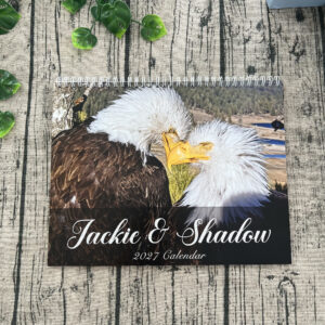 TQ - Jackie and Shadow 2027 Wall Calendar, Jackie 2012-2026 Calendar