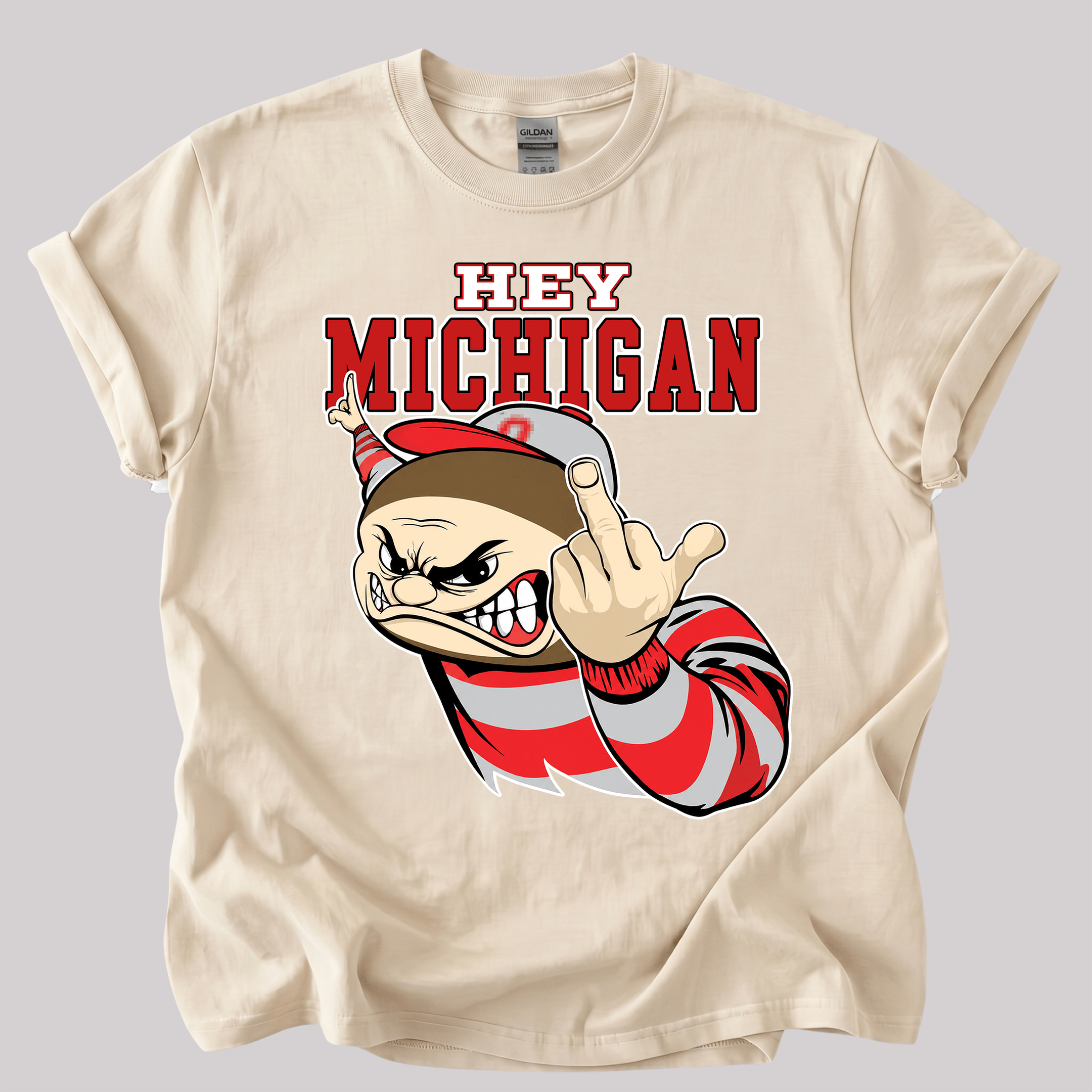 NT - Hey Michigan Fuck You Shirt, Sweatshirt, Hoodie